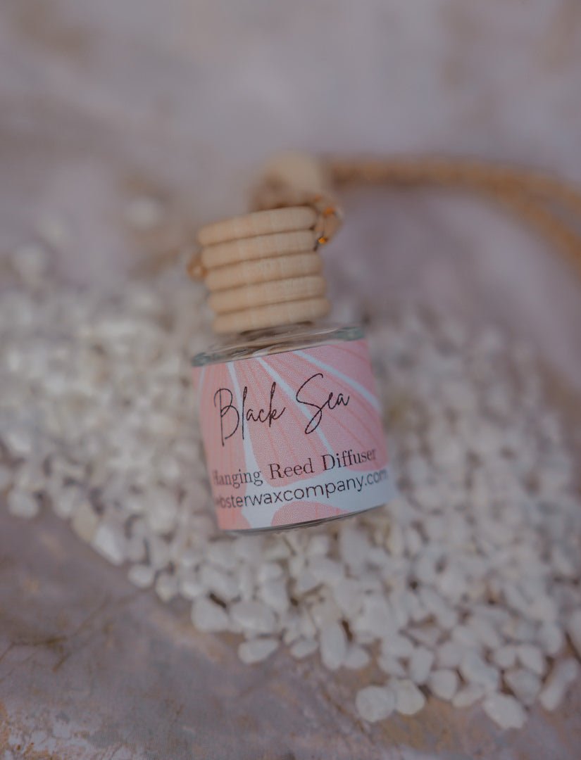 Black Sea Hanging Reed DiffuserWebster Wax Company