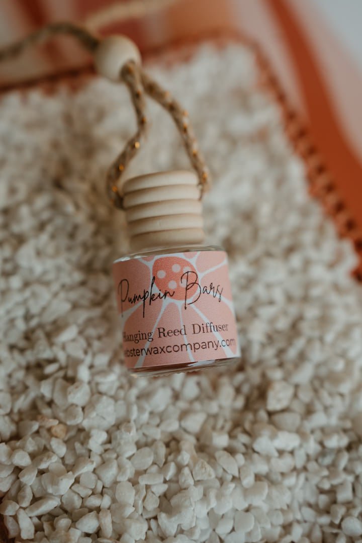Pumpkin Bars Hanging Reed DiffuserWebster Wax Company