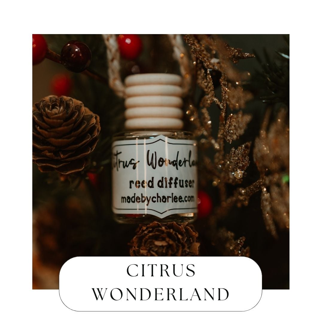 Citrus Wonderland Hanging Reed DiffuserWebster Wax Company