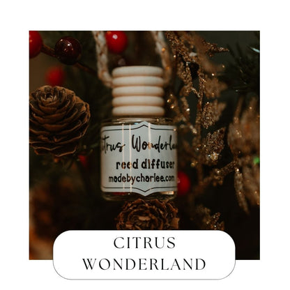 Citrus Wonderland Hanging Reed DiffuserWebster Wax Company