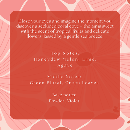 Coral Cove Kiss Roll On PerfumeWebster Wax Company