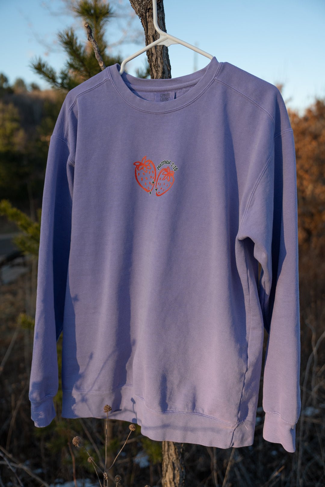 (PRE - ORDER) Matthew 7:16 By Their Fruit CrewneckWebster Wax Company